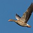thumbs/IMG_9373.jpg